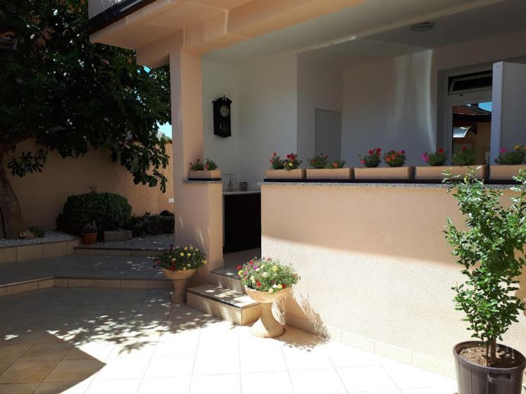 Apartments Rovis Tar-Vabriga المظهر الخارجي الصورة